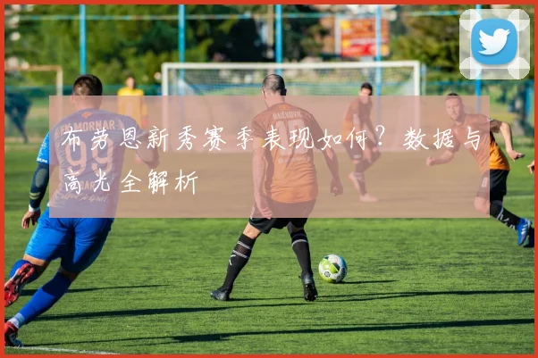 布劳恩新秀赛季表现如何?数据与高光全解析
