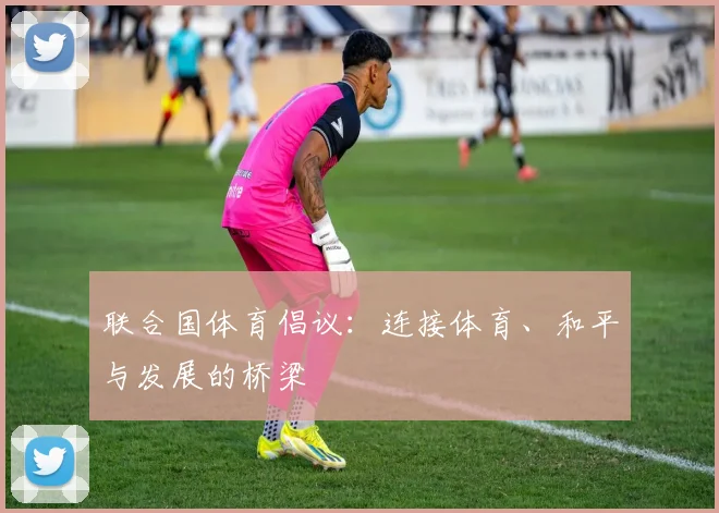 联合国体育倡议:连接体育、和平与发展的桥梁